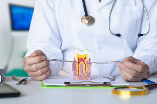 Best Emergency Treatment for Toothache in Safety Harbor, FL